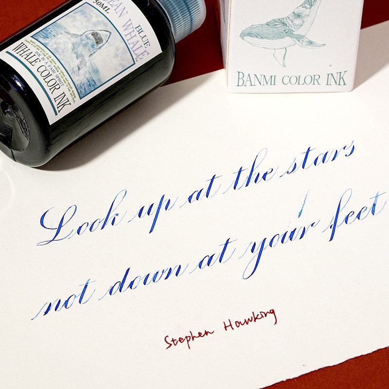 Banmi Whale Series Fountain Pe - Fountain Pen Bottled Ink ulasan dan harga